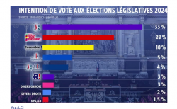 Screenshot 2024-06-17 at 17-50-13 EXCLUSIF - Législatives le RN en tête devant le Nouveau Front populaire et le camp présidentiel en 3ᵉ position TF1 INFO.png